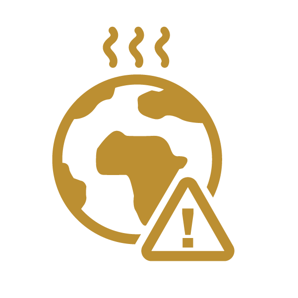 Hacer frente a la emergencia climática y ambiental