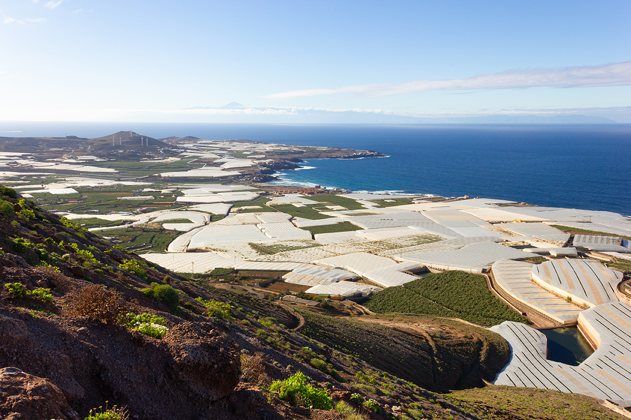 Gran área de casas en la costa norte de Gran Canaria con el Teide en el fondo.