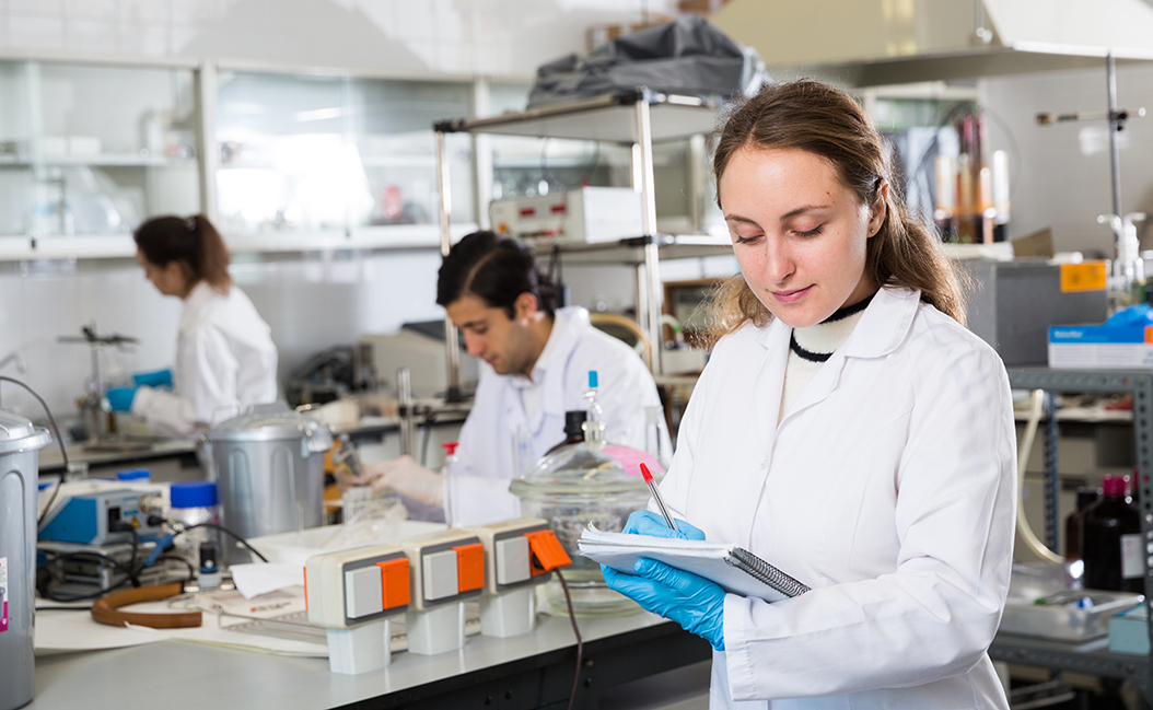 Zona Especial Canaria 